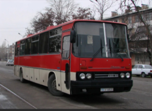 Фото из интернета. Автобус "Икарус".