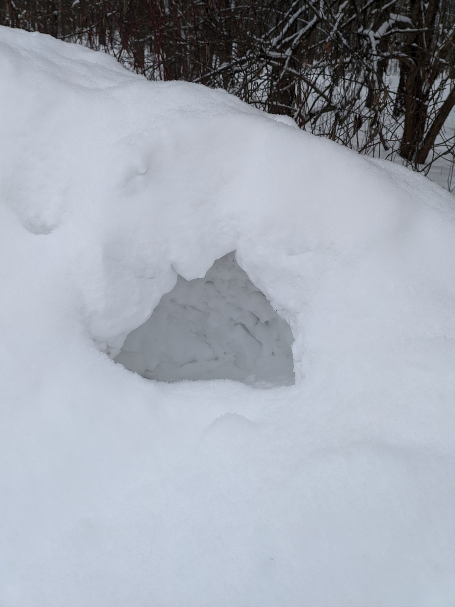 Такая дыра в сугробе. 