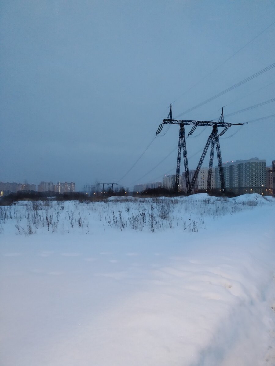 Местные пампасы