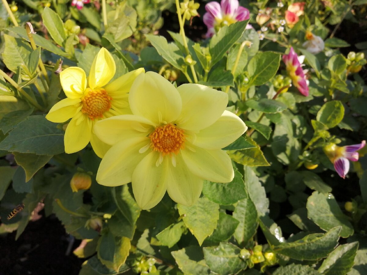 Фото автора. 