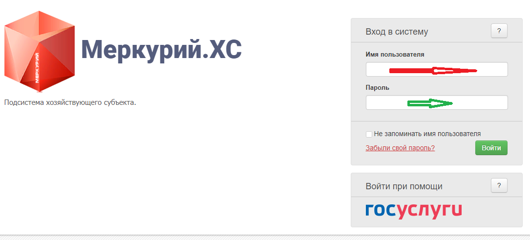 Зайти в меркурий личный. ФГИС Меркурий. Регистрация во ФГИС Меркурий. Как поменять пароль в Меркурии. Меркурий как зарегистрироваться.