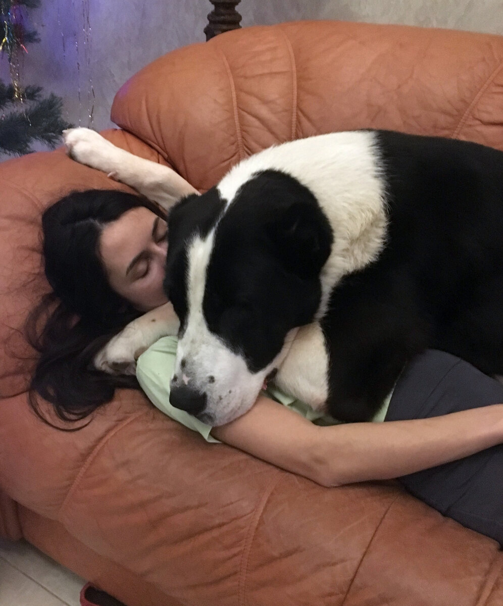 Большой, уютный, тёплый... это ли не счастье?