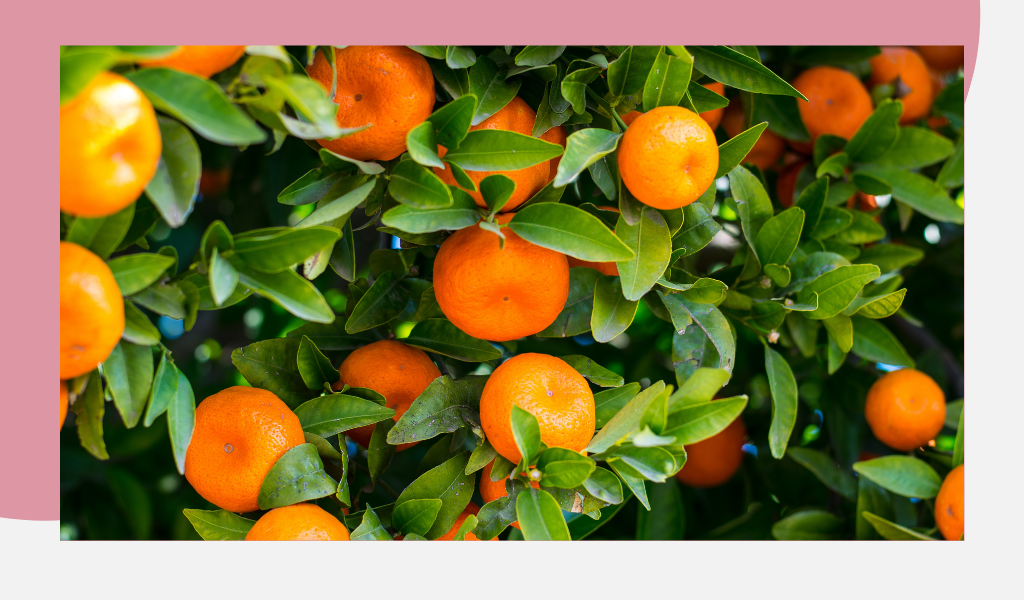 Фотография из открытых источников