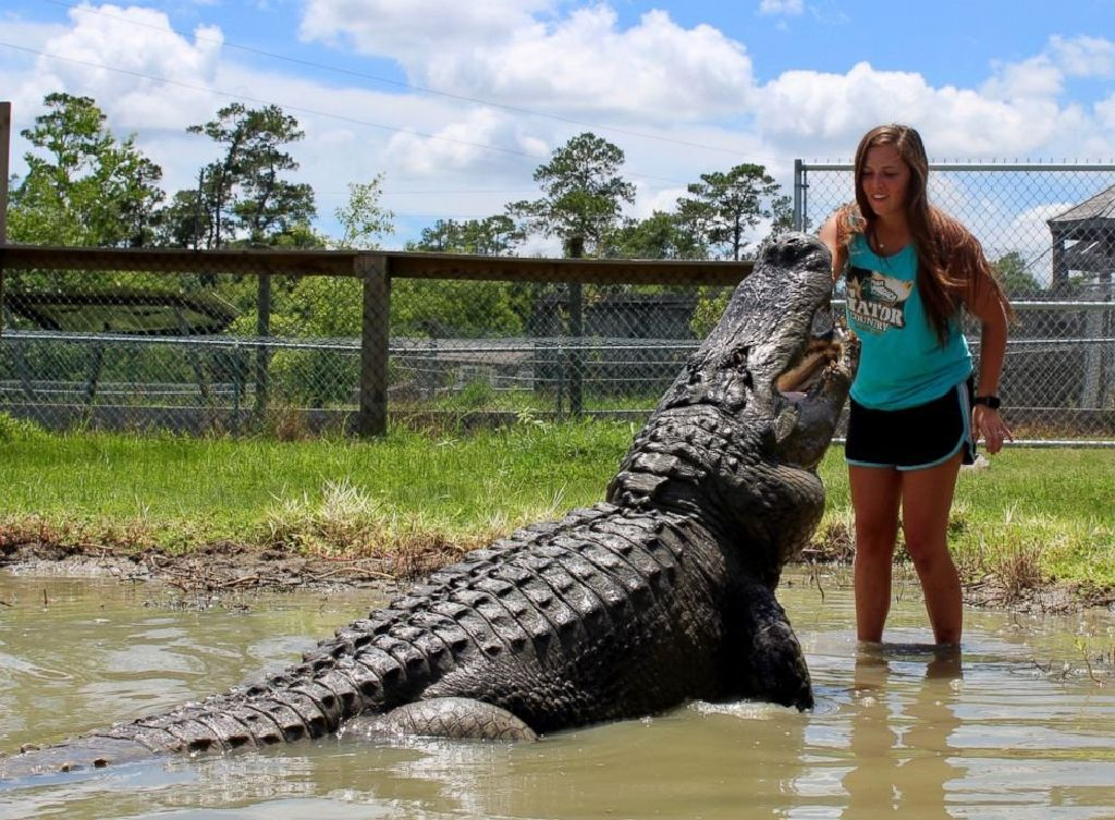 А этот аллигатор, походу, решил эволюционировать в собачку.