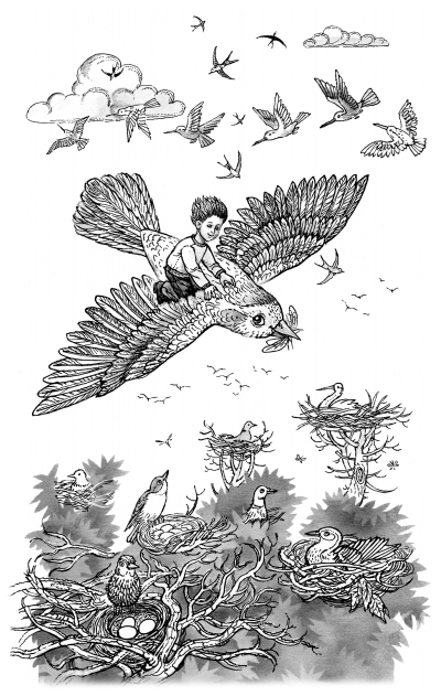 Здесь и далее рисунки Марины БЕЛОУСОВОЙ