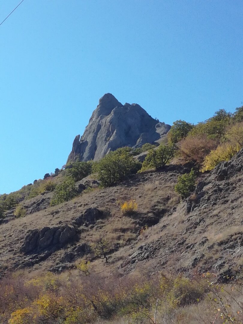 На этом фото видно кусочек скалы, похожий на ползущую вверх лягушку.