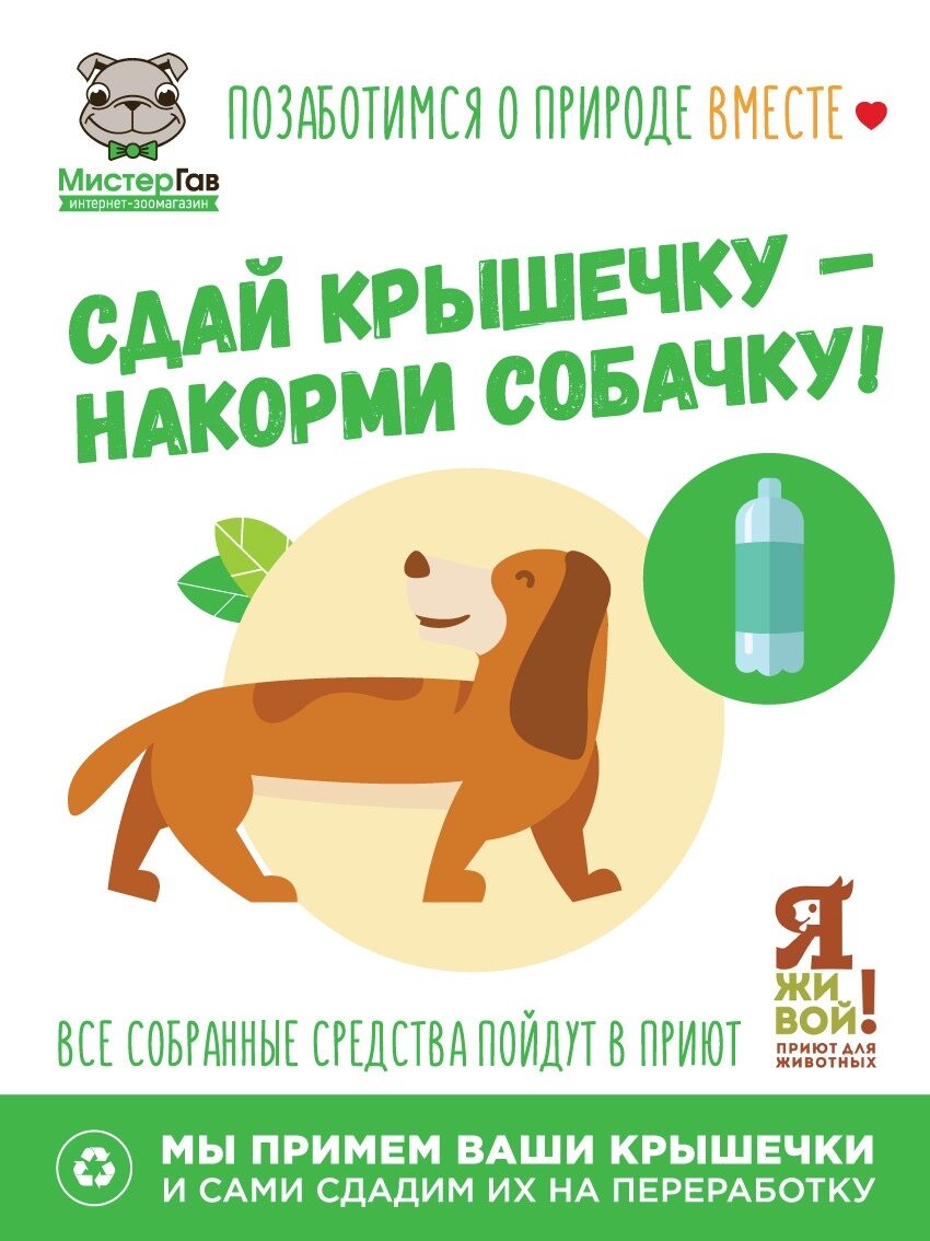 фото интернет-магазина Мистер Гав