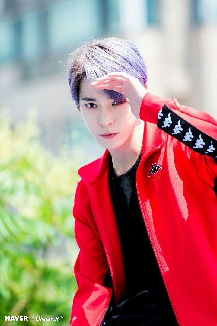 Яндекс картинки 