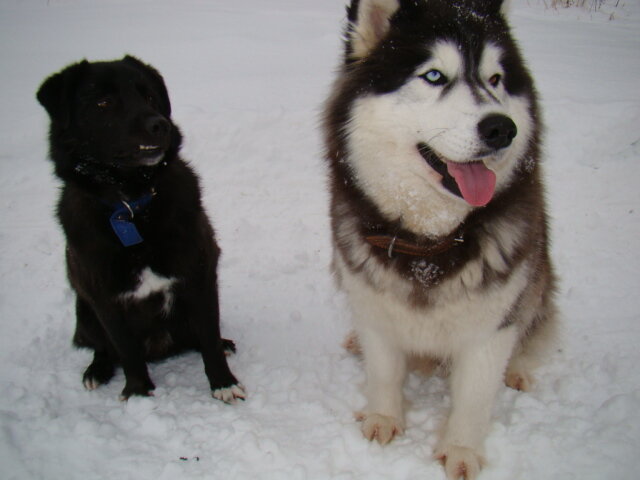 Рута и Мишка с натянутой улыбкой.