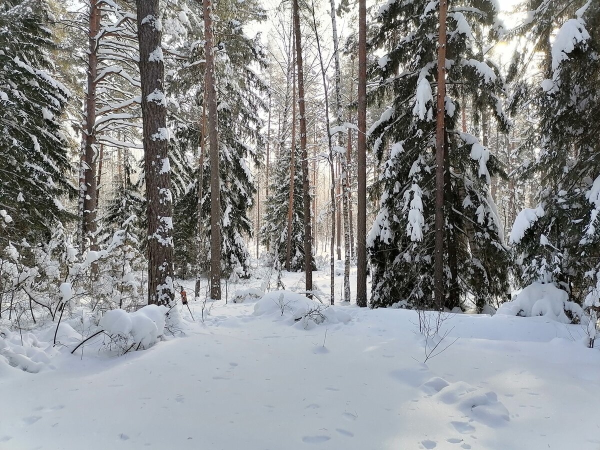 Скребок для уборки снега своими руками: чертежи, как сделать