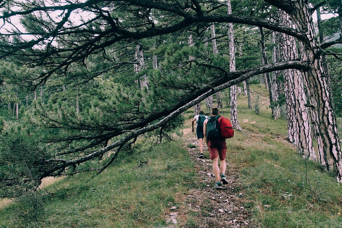 Боткинская тропа.