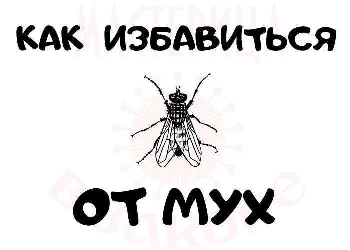 Полезные советы