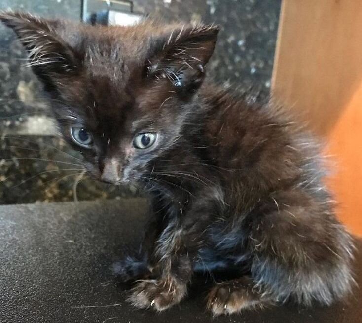 Фото из открытых источников интернета