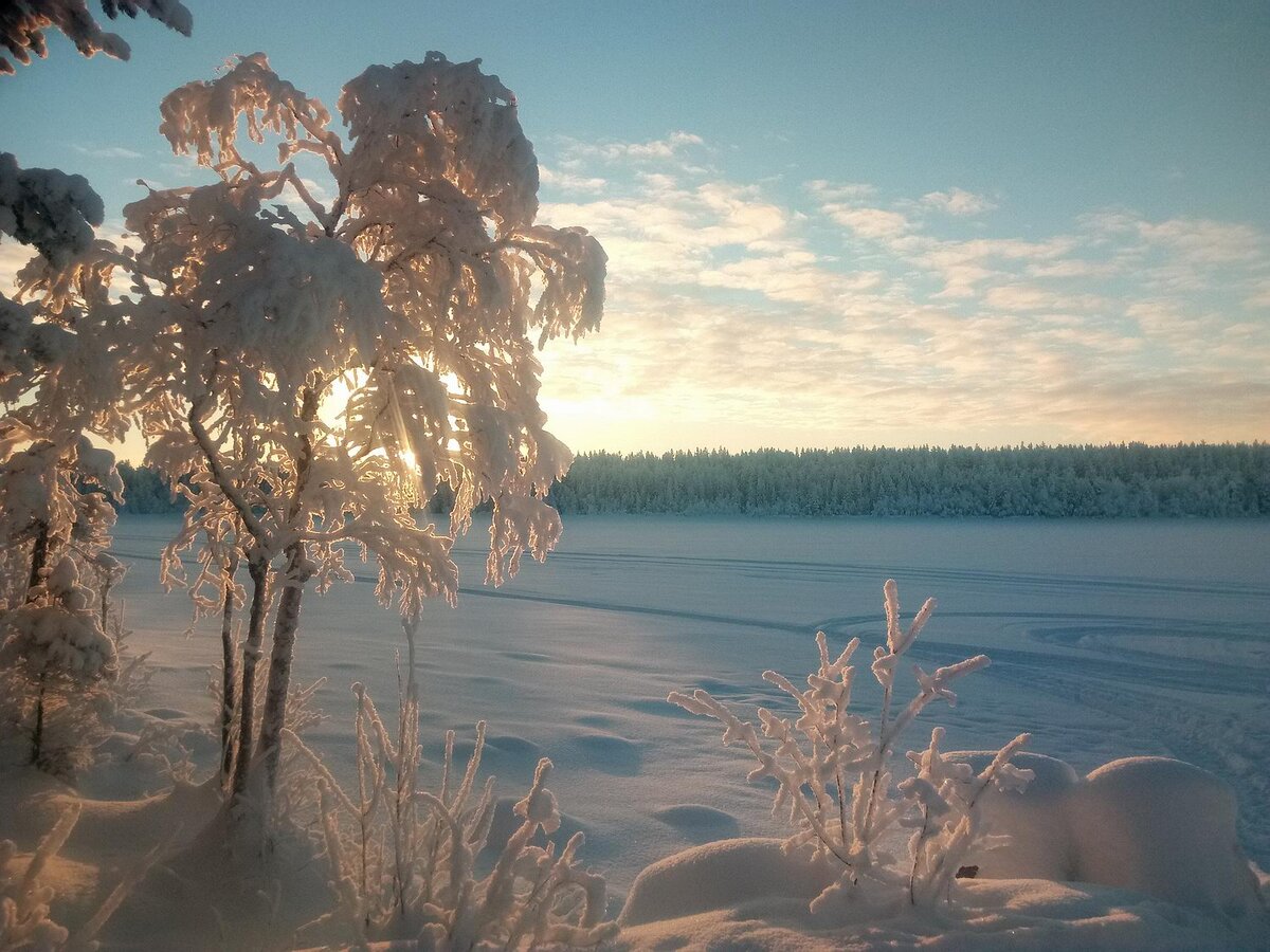 браславские озера зимой