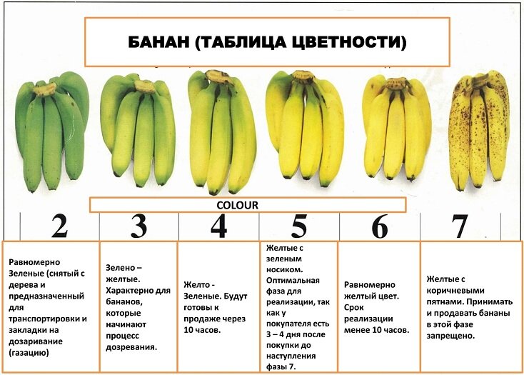 Делайте выбор при покупке с умом!