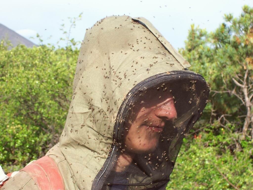 Обычный день на природе, Хабаровский край, лето