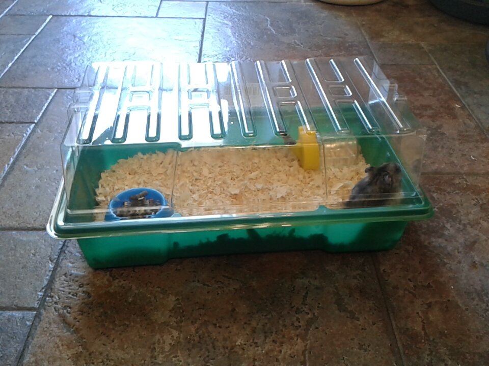 ищет слабые места