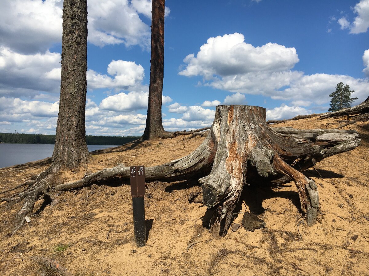 Пляж озера Красавица (Krasavitsa Lake Beach)