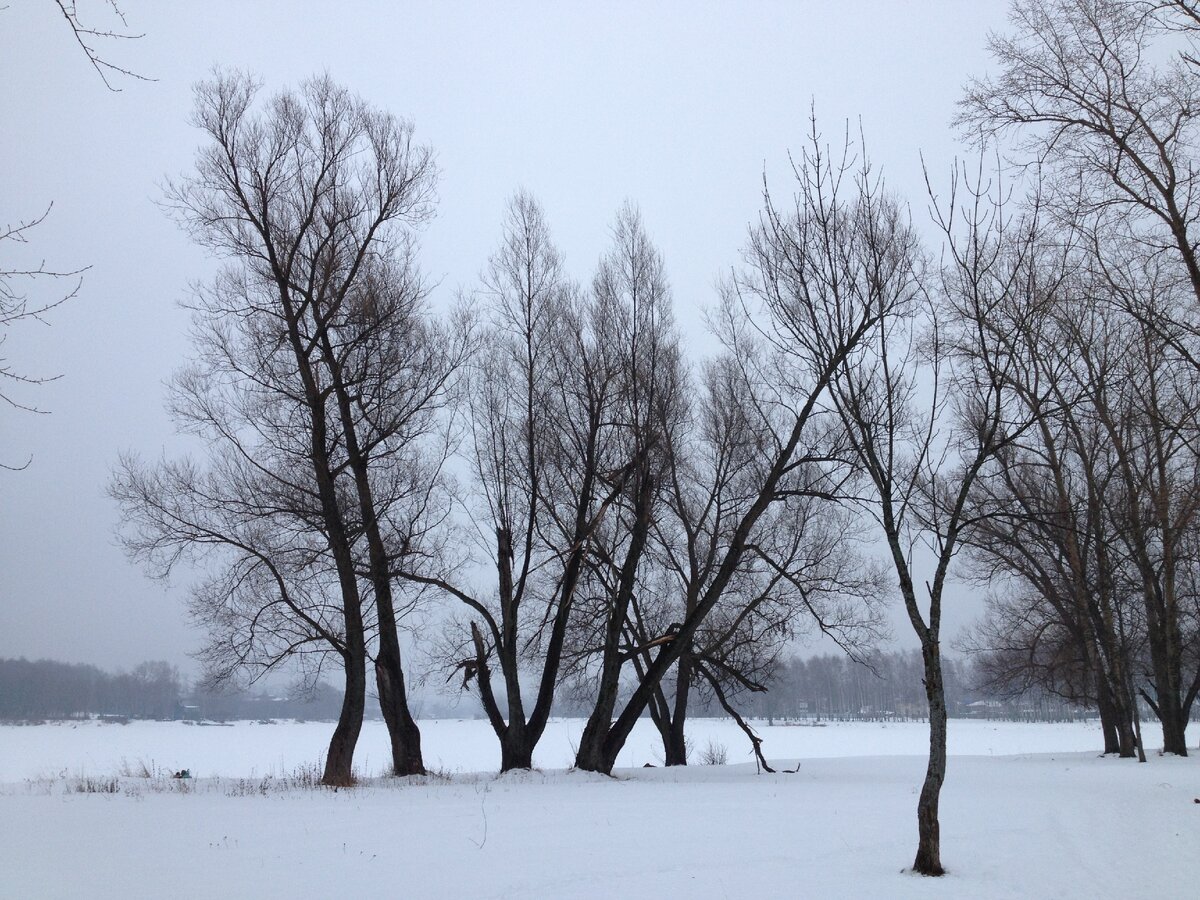 Природа, это моё лекарство. Она и настроение поднимает, и здоровье даёт. Фото автора канала