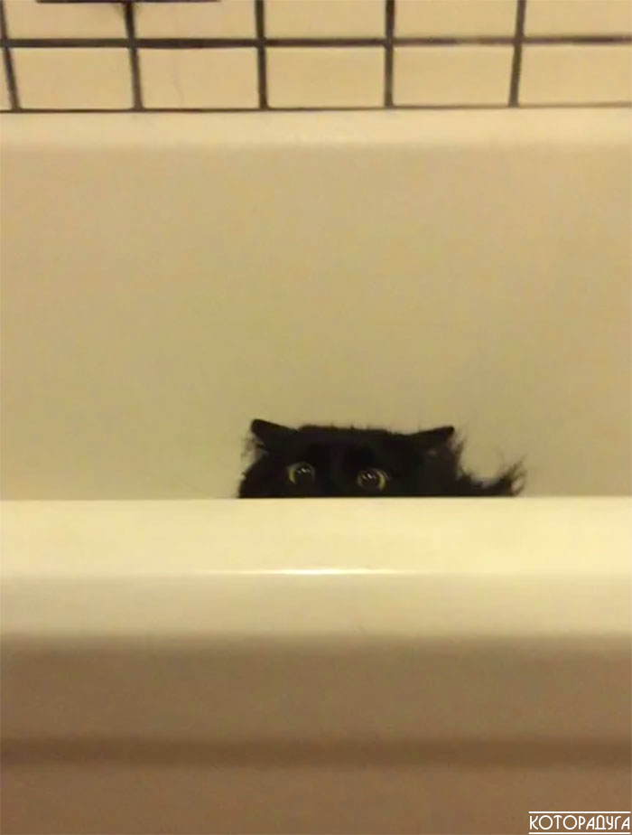 Источник: reddit.com