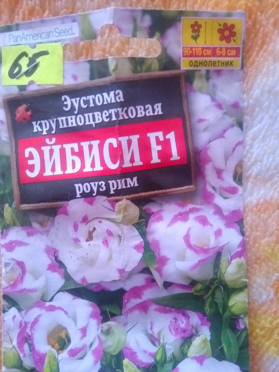 Фото из галереи 