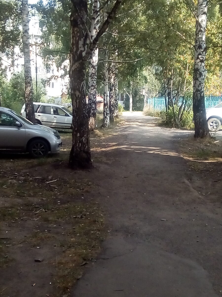 Вот такая аллейка у нас есть.