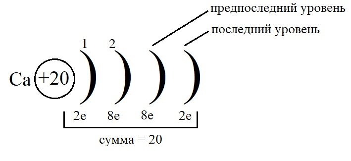 Схема строения атома распределение электронов по электронным слоям кальция