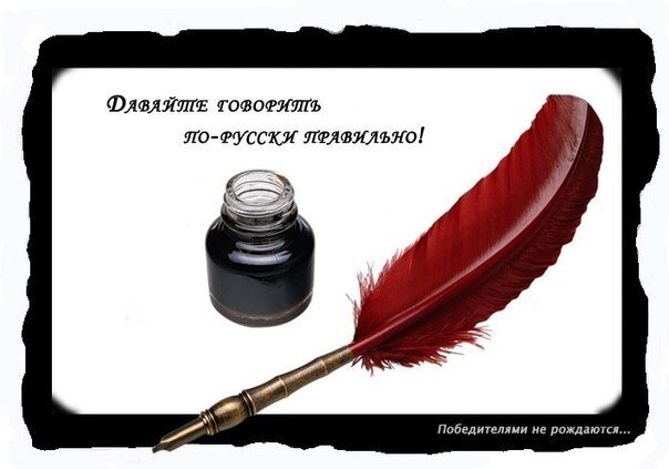 Фото взято из открытых источников 