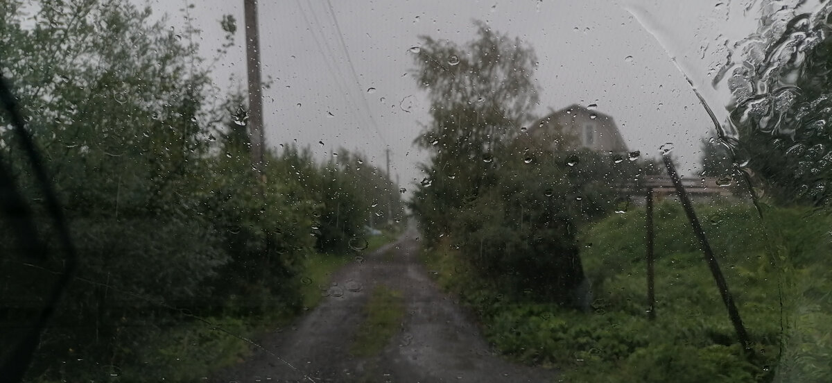 Отличная погода для прогулок. Фото автора