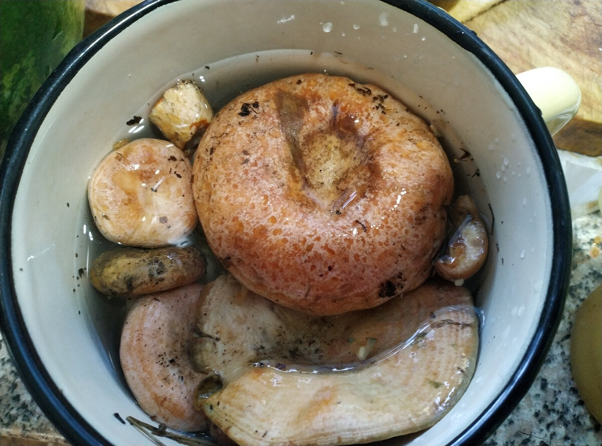 И поставила вымачивать литровую кружечку рыжиков