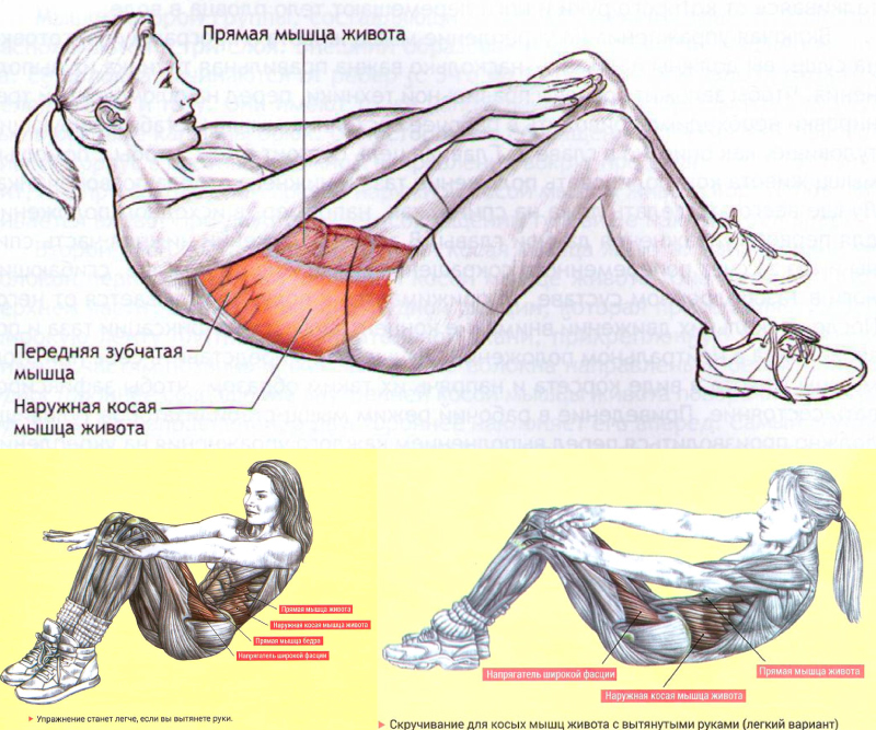 Как накачать пресс правильно: упражнения и рекомендации | Блог Spirit. Fitness