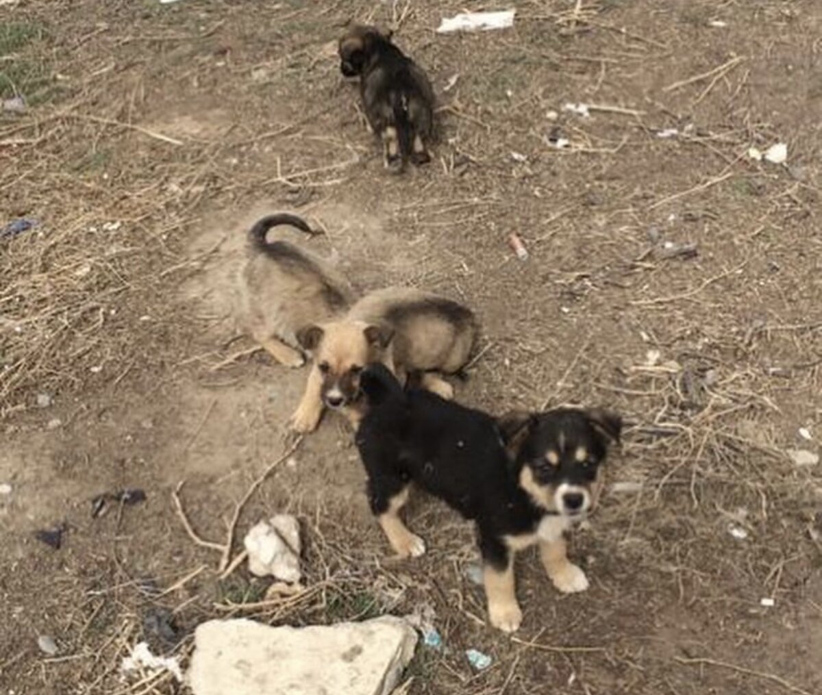 Малыши бегали , играли , хотели общения и не знали , что случится трагедия 