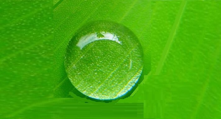 Нашел в Интернете капельку на листочке