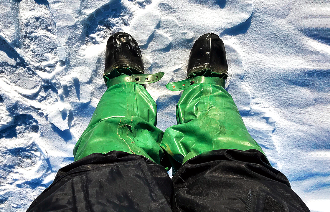 Вот так они выглядят.