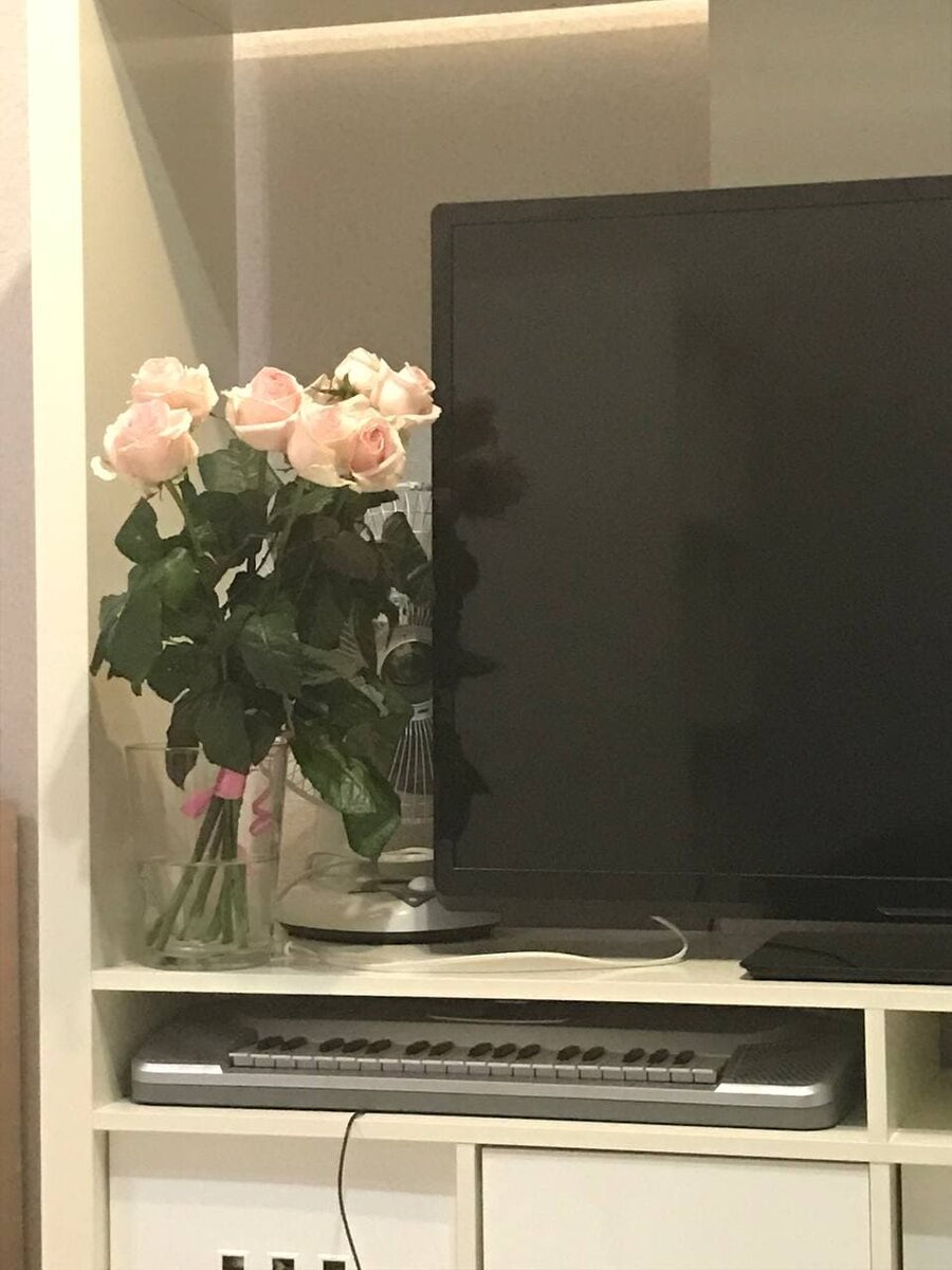 Фото случайно найденное в телефоне. Сделано, видимо, за неделю до отъезда за границу