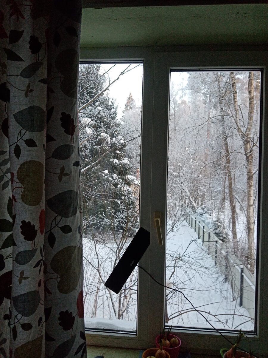 Фото автора. 