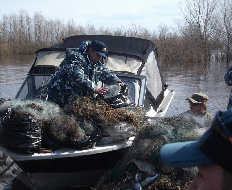нарушение рыболовства