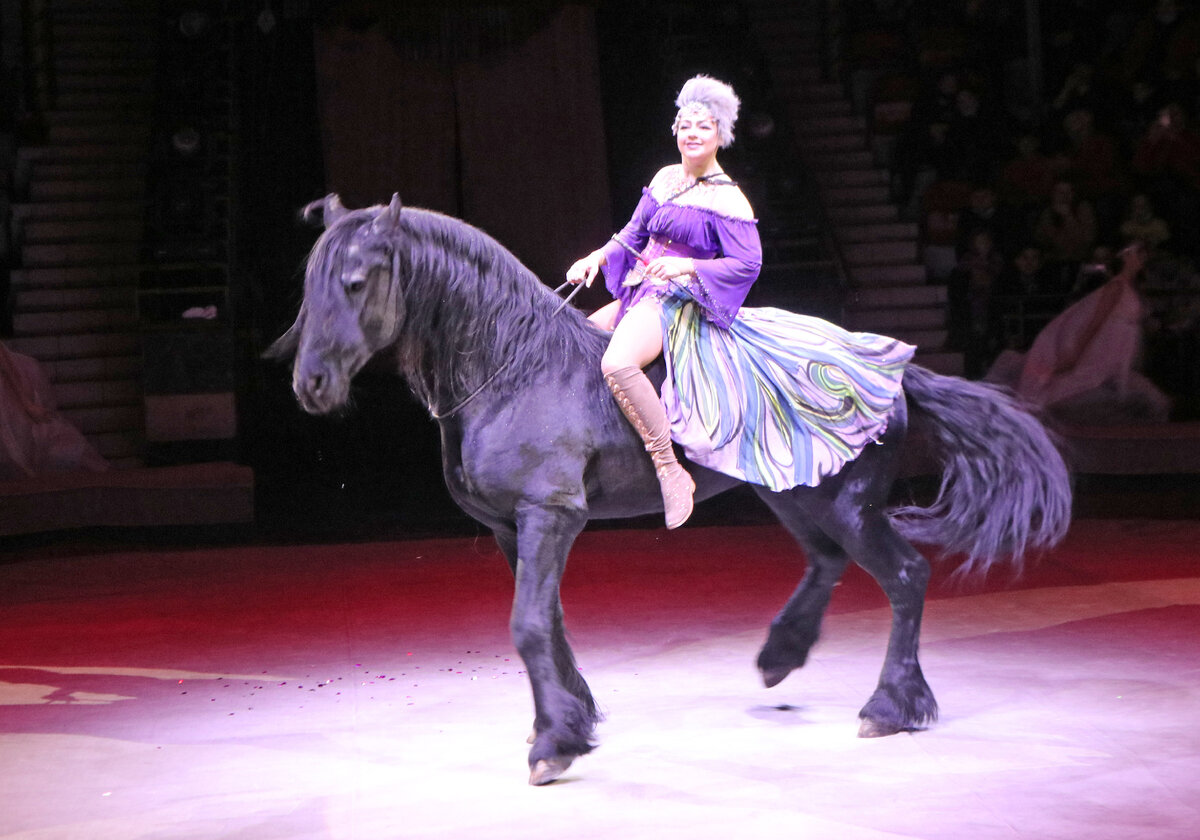 На арене лошадь и наездник становятся одним целым