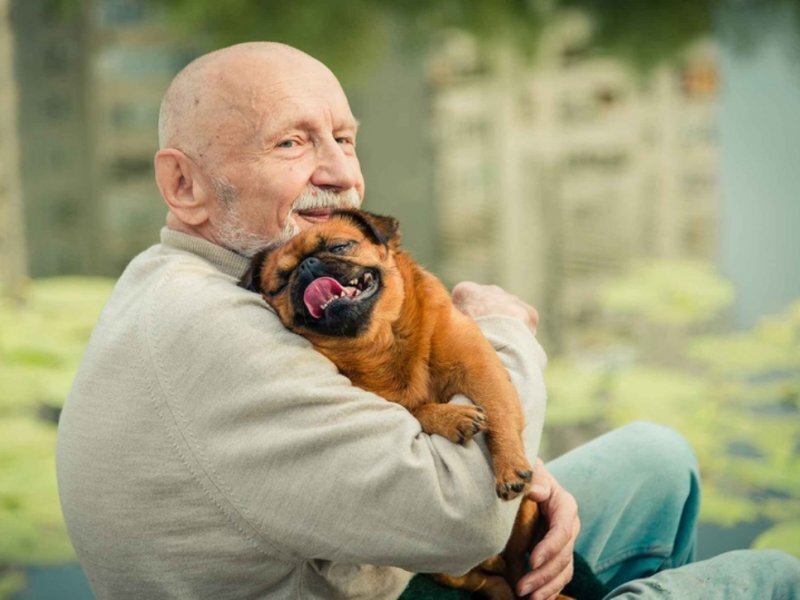 Компаньон пожилого человека. Источник: https://mon.medikforum.ru