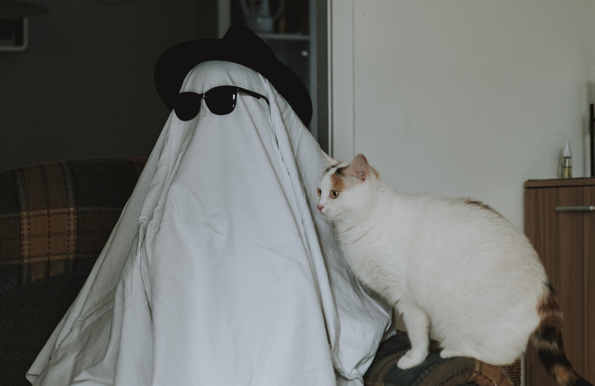 Фото взято из открытого источника: https://goo.su/Oj86YL6