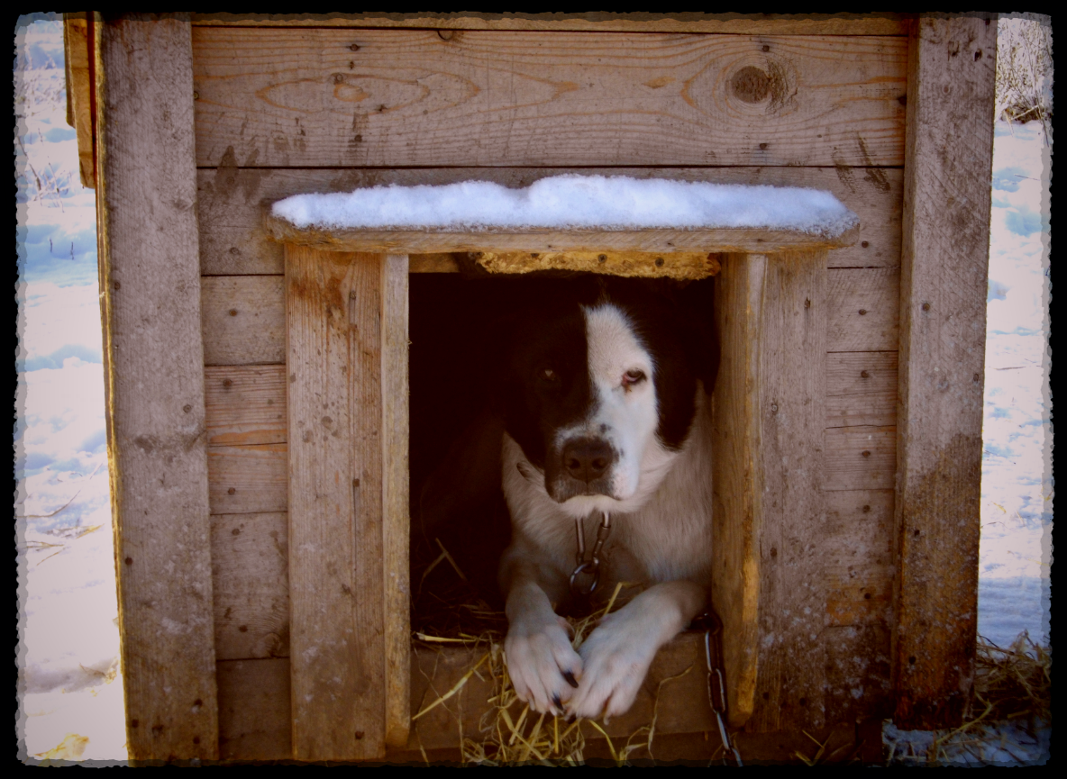 На передержке