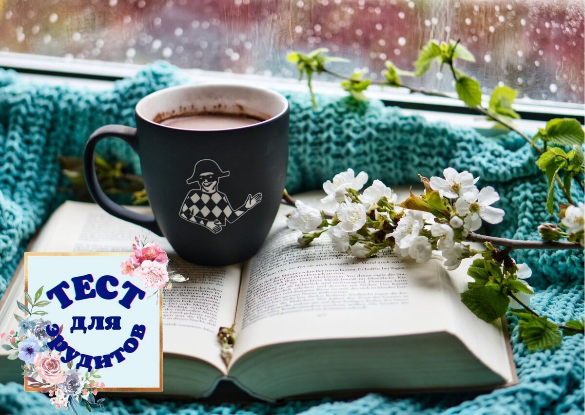 Источник изображения: pixabay.com, фото Anrita1705, дизайн автора публикации 