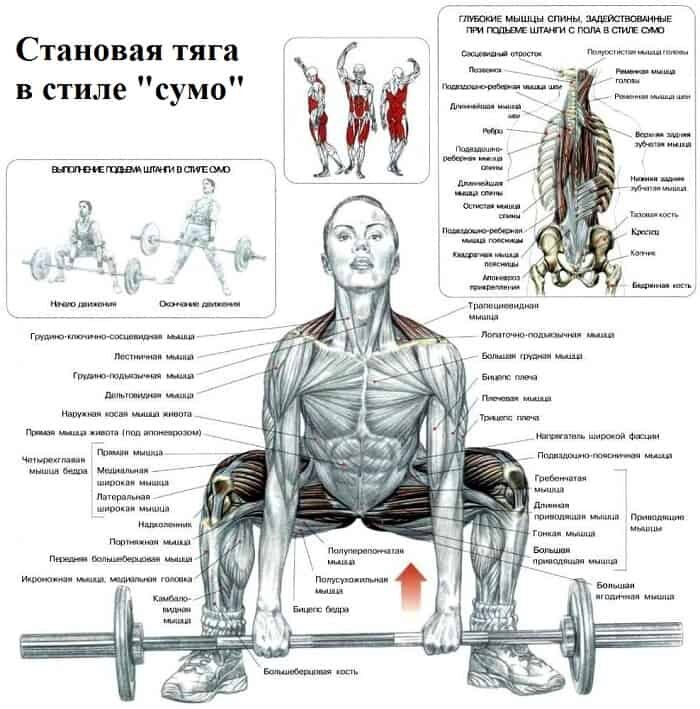 Если работает не все, то почти все!