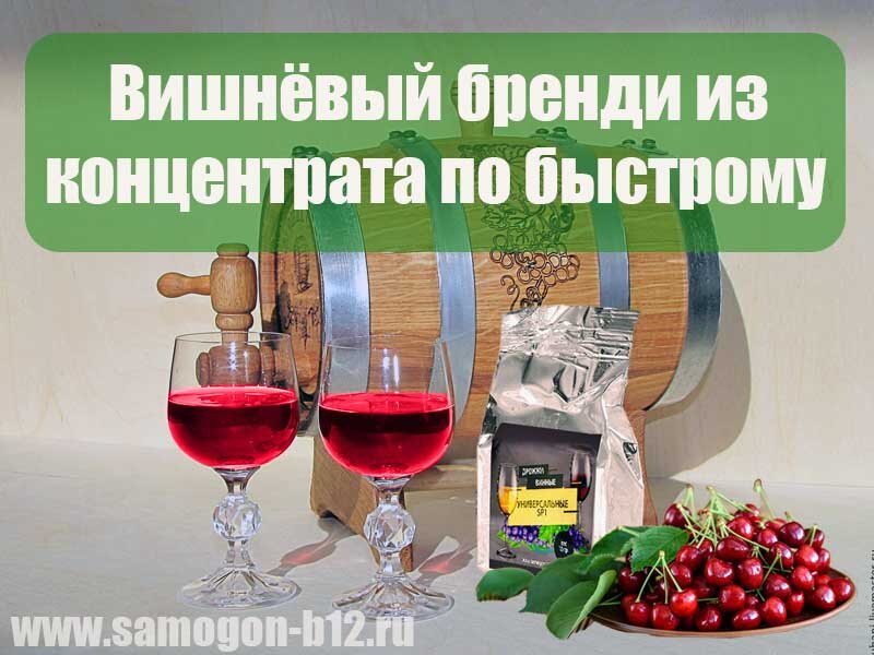 Вишнёвый бренди из концентрата. Коллаж автора ©