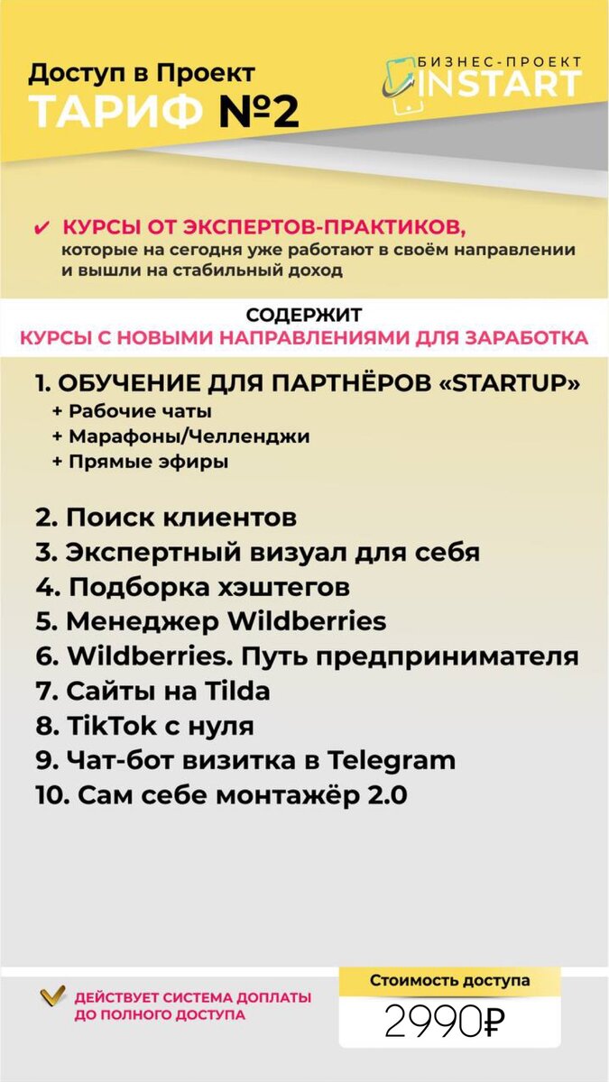 Инстарт бизнес проект