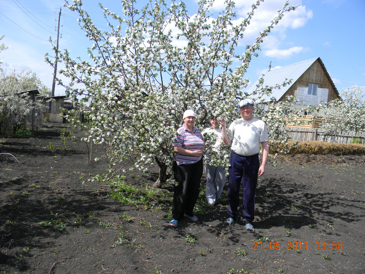 "Один раз в год сады цветут!"