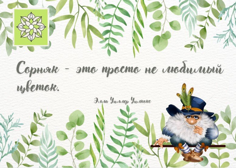 Вдумчивое отношение к земле избавляет от ненужной и утомительной работы, возвращает почве плодородие.