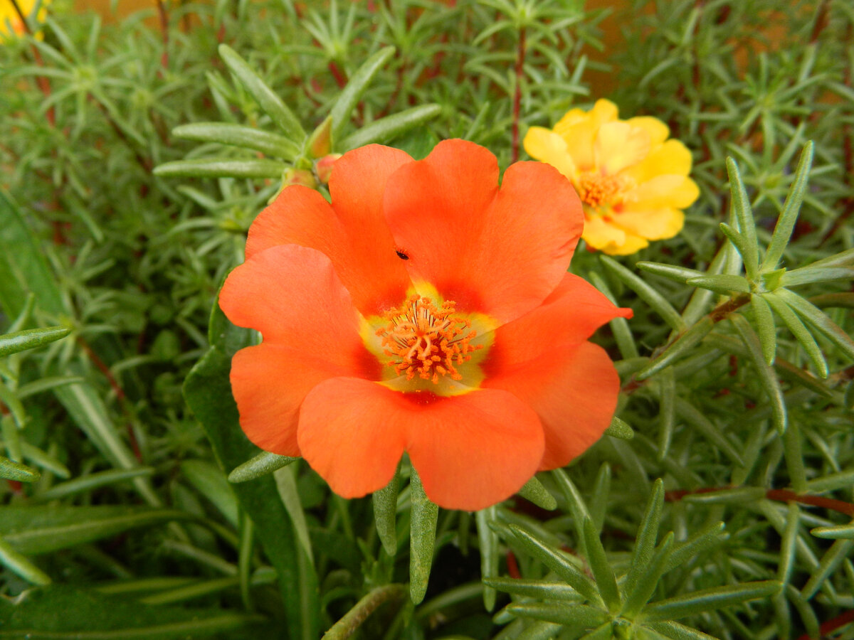 фото автора канала