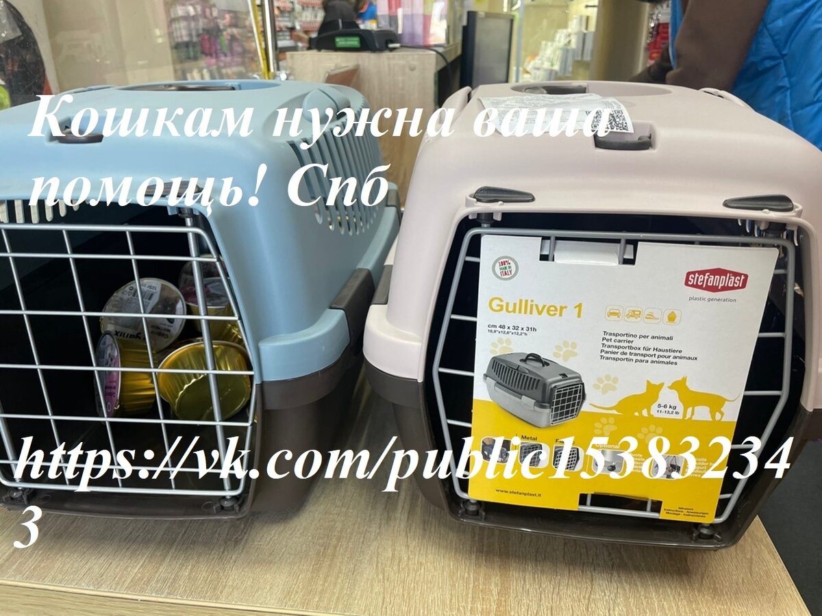 Переноски для фестиваля