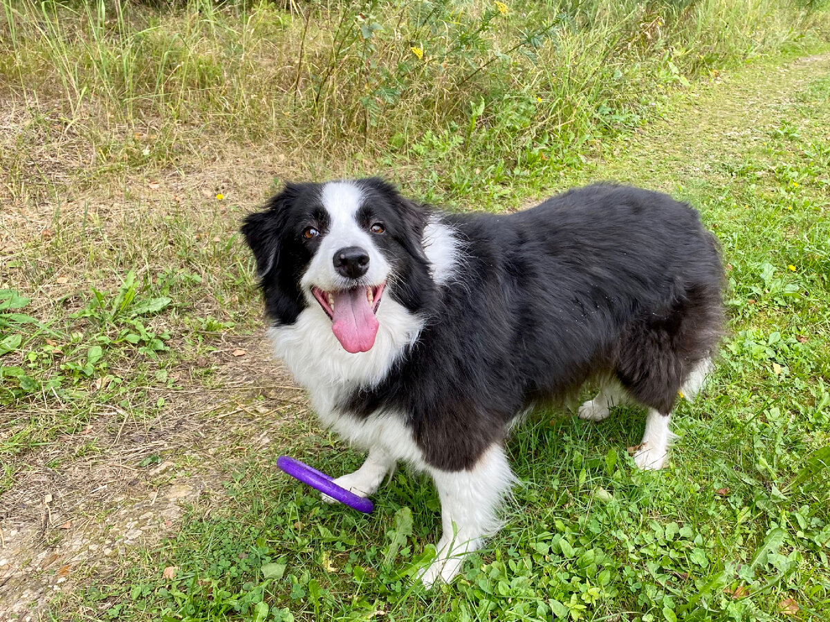 Может поиграем?